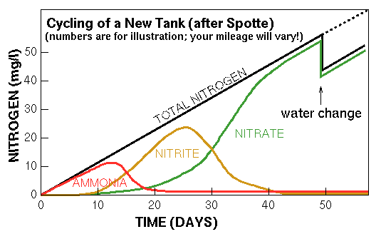 Chart On Nitrogen Cycle